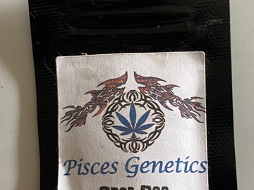 Selling: Pisces Genetics - Gnar Dawg