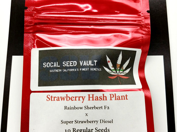 Proporcionando ($): Strawberry Hash Plant - Rainbow Sherbert F2 x Super Strawberry D