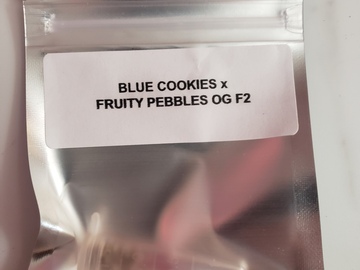 Providing ($): blue cookies x fruity pebbles og F2