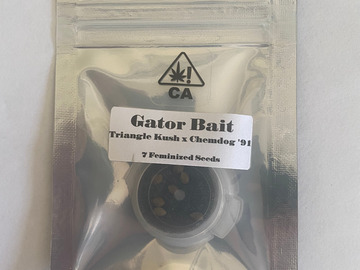 Selling: CSI Humboldt - Gator Bait (Triangle Kush x Chemdog 91)