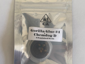 Selling: CSI Humboldt - GG4 x Chemdog D