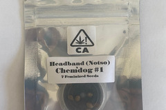 Vente: CSI Humboldt - Headband x Chemdog #1 (CROPTOBER SALE)