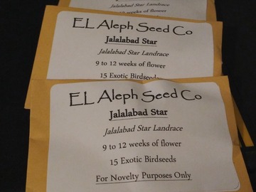 Proposer ($): El Aleph- Jalalabad Star Landrace Open Pollination
