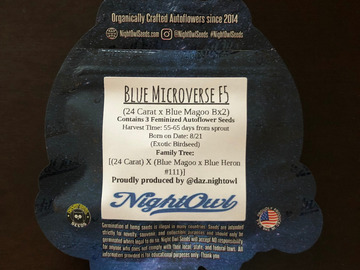Providing ($): Night Owl Seeds - Blue Microverse F5