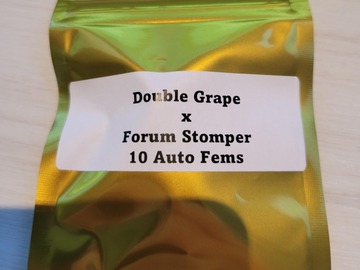 Providing ($): Double Grape x Forum Stomper - 10 Auto FEMS