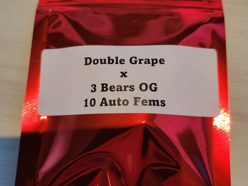 Proporcionando ($): Double Grape x 3 Bears OG - 10 Auto FEMS