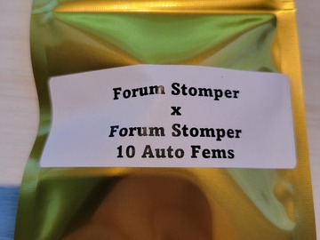 Providing ($): Forum Stomper x Forum Stomper - 10 Auto FEMS