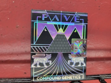Proposer ($): Strawberry Pavè -(Compound Genetics)
