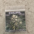 Selling: Chupil by Mass Medical