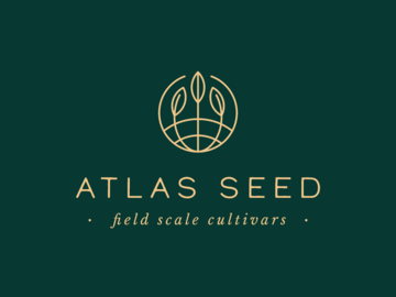 Providing ($): Atlas Seed - Gelato 41 - Feminized Photoperiod