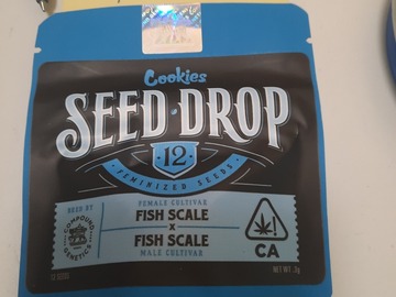 Selling: Compound Genetics - Fish Scale x Fish Scale