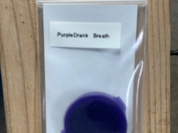 Vente: Thug Pug- PurpleDrank Breath