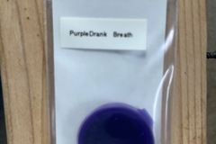 Sell: Thug Pug- PurpleDrank Breath