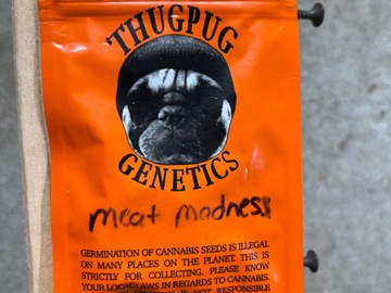 Venta: Thug Pug- Meat Madness
