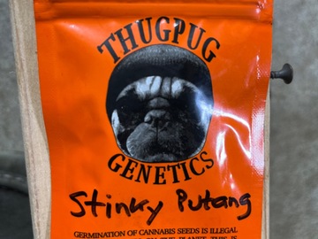 Vente: Thug Pug-Stinky Putang