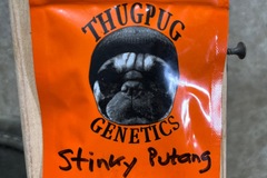 Vente: Thug Pug-Stinky Putang