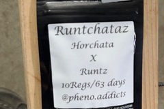 Selling: Pheno Addict-Runchataz