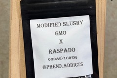 Selling: Pheno Addict-Modified Slushy