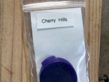 Sell: Thug Pug-Cherry Hills