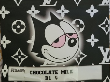 Vente: Chocolate Milk R1 Copycat Genetix ORIGINAL Fems