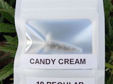 Providing ($): 10 Pack - Candy Cream (Reg) + Freebie!