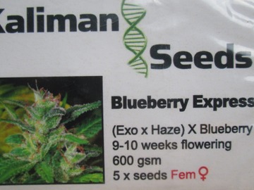 Providing ($): Kaliman Seeds, "Blueberry Express" 5 x Feminised Seeds.