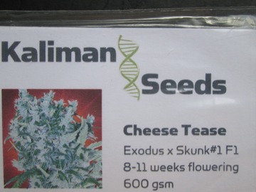 Providing ($): Kaliman Seeds, "Cheese Tease". 10 x Regular Seeds