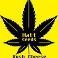 Selling: Kush Cheese