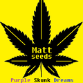 Providing ($): Purple Skunk Dreams