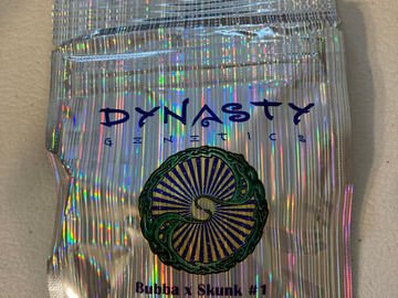 Providing ($): Dynasty Genetics - Bubba x Skunk #1