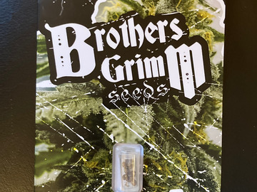 Providing ($): G13 Genius - Brothers Grimm - Feminized Seeds