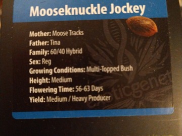 Providing ($): Exotic Genetix MooseKnuckle Jockey