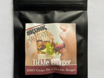Providing ($): Skunk House - Tickle Burger (GMO Grape Pie x Double Burger)