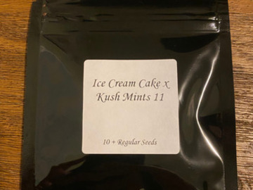 Providing ($): Seed Junky - Ice Cream Cake x Kush Mints 11 (FLASH SALE)