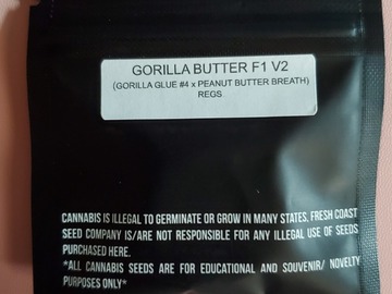 Providing ($): Fresh Coast Gorilla Butter F1 V2