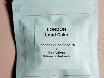 Vente: Lit Farms London Loud Cake