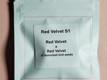 Vente: Red Velvet S1 Lit Farms