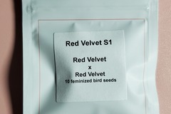 Sell: Red Velvet S1 Lit Farms