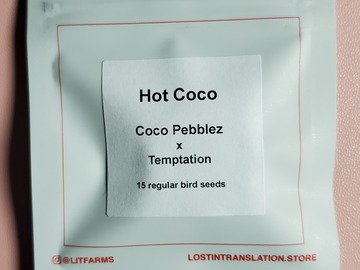 Providing ($): Hot Coco Lit Farms