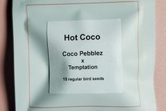 Venta: Hot Coco Lit Farms