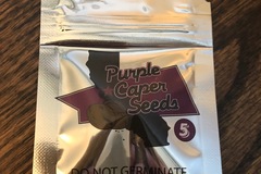Selling: Caper Purple Assorted Chocolates CBD 5 pack