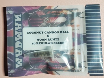 Providing ($): Tiki Coconut Cannon Ball x Moon Runtz