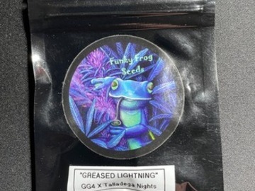 Providing ($): Grease Lightning - Funky Frog Seeds (10+ Regular Seeds)