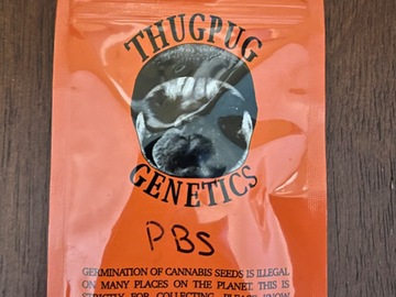 Providing ($): Thug Pug - Peanut Butter Sunshine (Rare)
