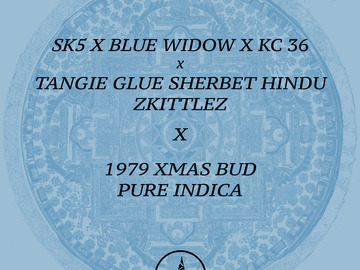 Selling: Sugaree x Tangie Glue Sherbet Hindu Zkittlez x 1979 XMAS BUD PURE