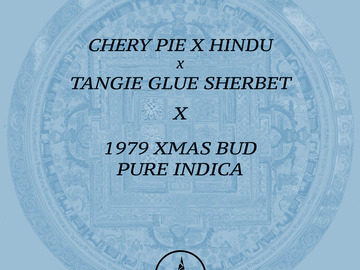 Selling: Cherry Pie Hindu x Tangie Glue Sherbet x 1979 XMAS BUD PURE