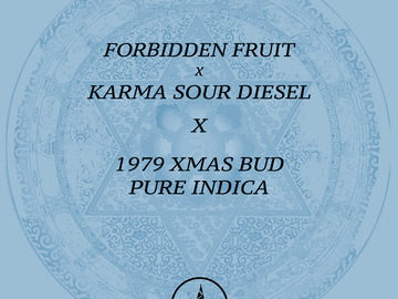 Selling: Forbidden Fruit x Karma Sour Diesel X 1979 XMAS BUD PURE