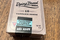 Venta: Red Rozé Dying Breed Seeds