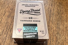 Venta: Moonshine Breath - Dying Breed Seeds