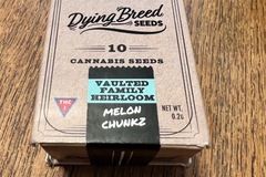 Selling: Melon Chunkz - Dying Breed Seeds